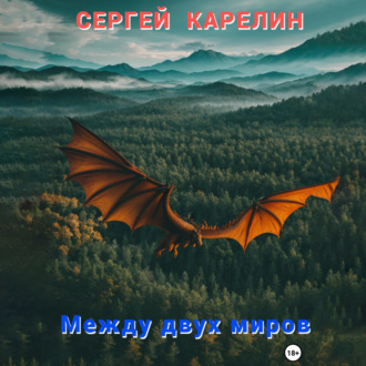 Обложка книги «Между двух миров»