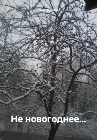 Обложка книги «Не новогоднее…»