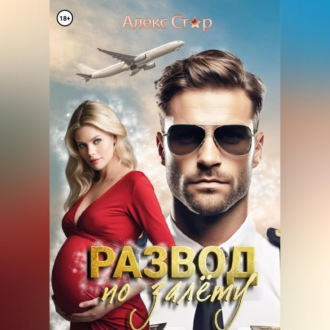 Обложка книги «Развод по залёту»