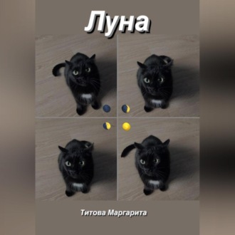 Обложка книги «Луна»