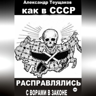 Обложка книги «Как в СССР расправлялись с ворами в законе»