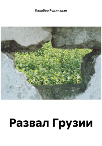 Кахабер Отарович Родинадзе. Развал Грузии