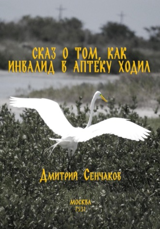 Обложка книги «Сказ о том, как инвалид в аптеку ходил»