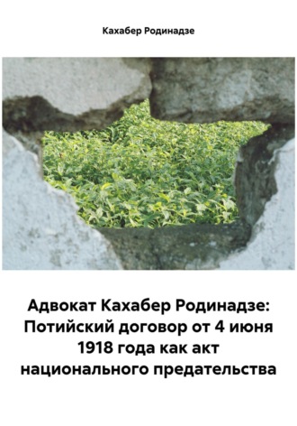 Обложка книги «Адвокат Кахабер Родинадзе: Потийский договор от 4 июня 1918 года как акт национального предательства»
