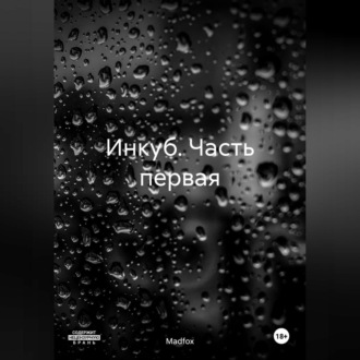 Обложка книги «Инкуб. Часть первая»