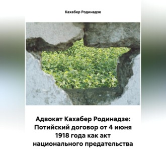 Обложка книги «Адвокат Кахабер Родинадзе: Потийский договор от 4 июня 1918 года как акт национального предательства»