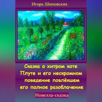 Обложка книги «Сказка о хитром коте Плуте и его нескромном поведение повлёкшем его полное разоблачение»