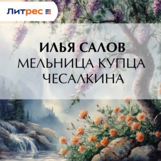 Обложка книги «Мельница купца Чесалкина»
