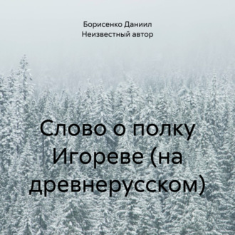 Обложка книги «Слово о полку Игореве (на древнерусском)»