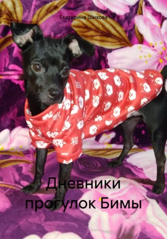 Обложка книги «Дневники прогулок Бимы»