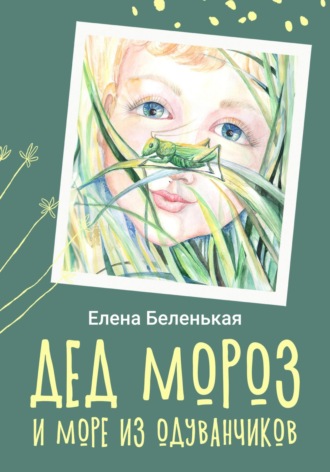 Обложка книги «Дед Мороз и море из одуванчиков»