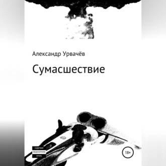 Обложка книги «Сумасшествие»
