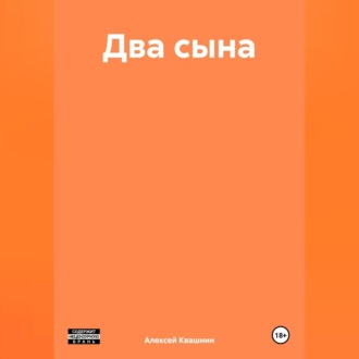 Обложка книги «Два сына»