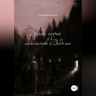 Обложка книги «Дикая груша – лакомство Ведьмы. Сборник рассказов»