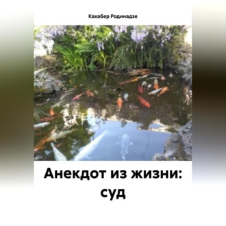 Обложка книги «Анекдот из жизни: суд»