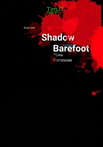 Обложка книги «Тень босиком»