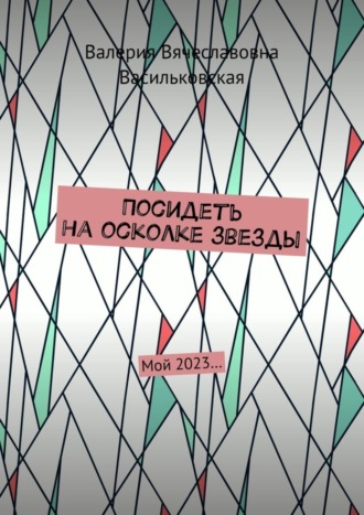 Обложка книги «Посидеть на осколке звезды. Мой 2023…»