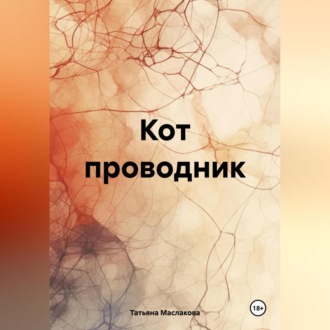 Обложка книги «Кот проводник»