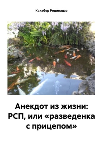 Обложка книги «Анекдот из жизни: РСП, или «разведенка с прицепом»»