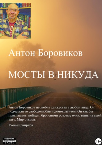 Обложка книги «Мосты в никуда»