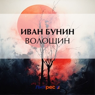 Обложка книги «Волошин»