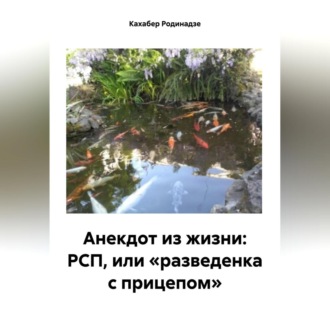 Обложка книги «Анекдот из жизни: РСП, или «разведенка с прицепом»»