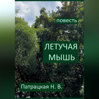 Обложка книги «Летучая мышь»