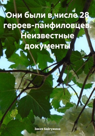Обложка книги «Они были в числе 28 героев-панфиловцев. Неизвестные документы»