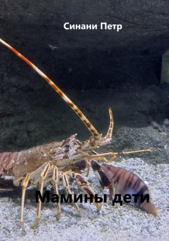 Петр Синани. Мамины дети