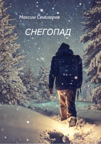 Обложка книги «Снегопад»