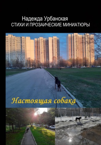 Обложка книги «Настоящая собака»