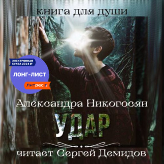 Обложка книги «Удар»
