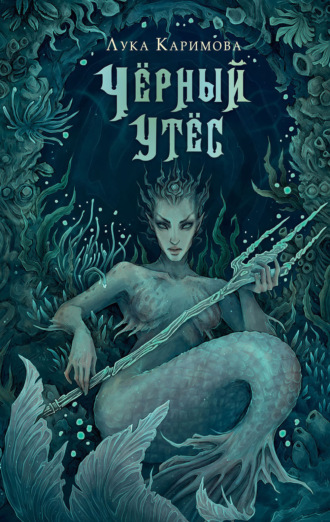 Обложка книги «Чёрный утёс»