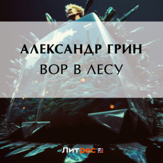 Обложка книги «Вор в лесу»