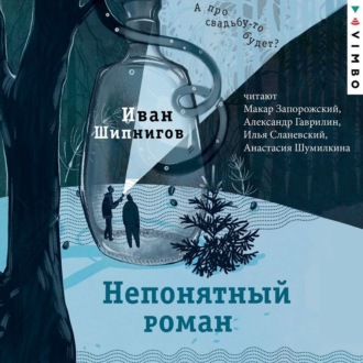 Обложка книги «Непонятный роман»