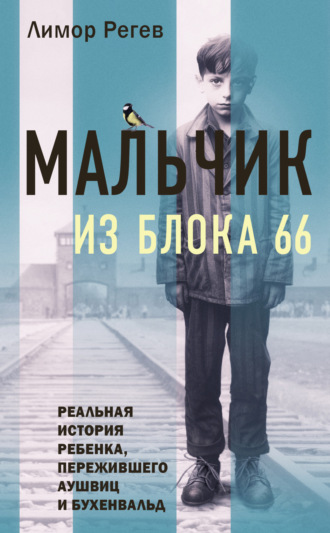 Обложка книги «Мальчик из Блока 66. Реальная история ребенка, пережившего Аушвиц и Бухенвальд»