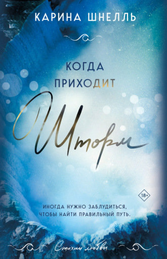 Обложка книги «Когда приходит шторм»