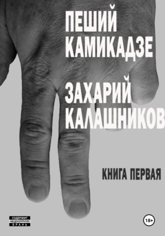 Обложка книги «Мины на снегу (Пеший камикадзе. Книга первая)»