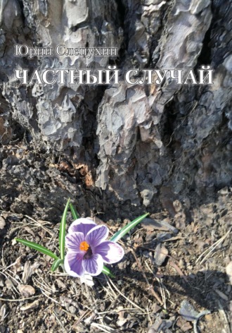 Обложка книги «Частный случай»