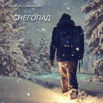 Обложка книги «Снегопад»