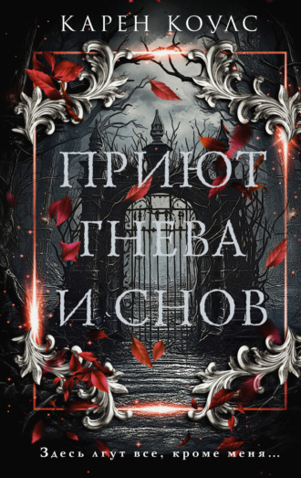 Обложка книги «Приют гнева и снов»