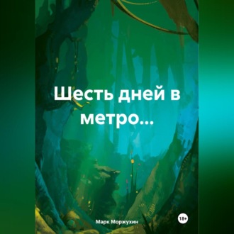 Обложка книги «Шесть дней в метро…»