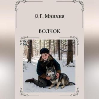Обложка книги «Волчок»
