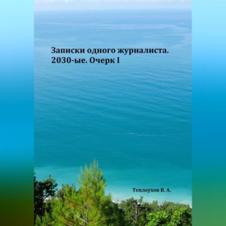 Обложка книги «Записки одного журналиста. 2030-ые. Очерк I»
