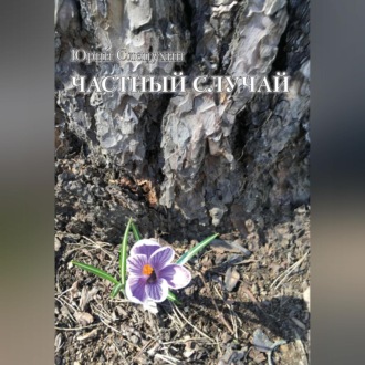 Обложка книги «Частный случай»