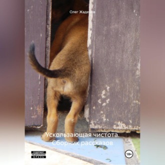 Обложка книги «Ускользающая чистота. Сборник ранних рассказов»