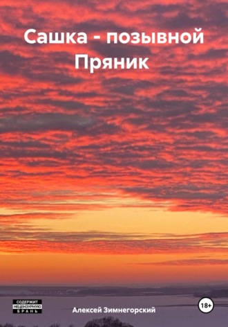 Алексей Зимнегорский. Сашка – позывной Пряник