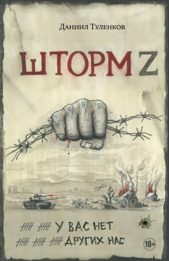 Обложка книги «Шторм Z. У вас нет других нас»