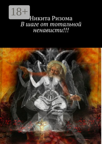 Обложка книги «В шаге от тотальной ненависти!!!»