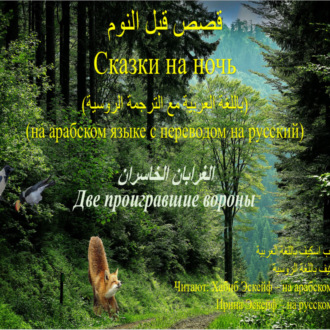 Обложка книги «Сказки на ночь (на арабском языке с переводом на русский): Две проигравшие вороны»